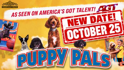 Puppy Pals Live! The Action-Packed Comedic Stunt Dog Show at Paramount Hudson Valley